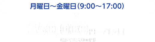 月曜日～金曜日（9:00～17:00）