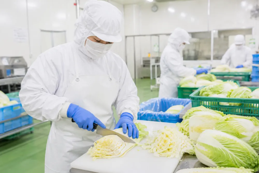 漬物工場の製造スタッフ